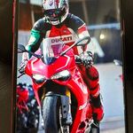 Roger McCabe - @rogeratdog - Instagram