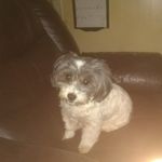Roger Mccauley - @roger.mccauley.35 - Instagram