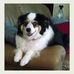 Roger Mcconnell - Facebook