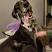 Roger McCullough - Facebook