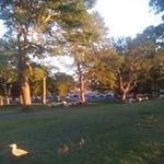 Roger Mcfadden - @roger.mcfadden.585 - Instagram