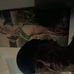 Roger McMillan - Facebook