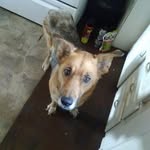 Roger Mcvay - @mcvayroger1 - Instagram