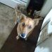Roger Mcvay - Facebook
