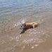 Roger Meakins - Facebook