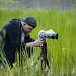 Roger Meier - @pixxartworks - Instagram