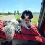 @milburn_roger - Instagram