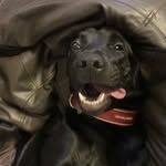 Roger Milburn - @rogers_insta - Instagram