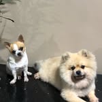 Ody alex pretio & Roger million 🍃 - @itz.ody.and.roger - Instagram