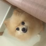 R Millions - @roger.millions - Instagram