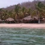 Roger Infante - @roger_minero - Instagram