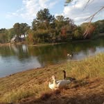Roger Mooney - @rogermooney27 - Instagram