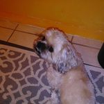 Roger Morrell - @morrell.roger - Instagram
