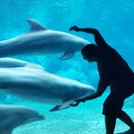 Roger Moser - @roger_moser - Instagram