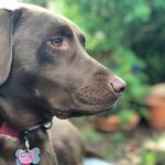Roger Motter - @roger_714 - Instagram