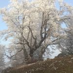 Roger Nagel - @nagel.roger - Instagram