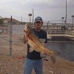 Roger Nason - @bigfishroger_ - Instagram