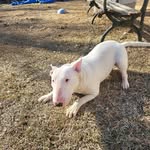 Roger Naylor - @roger_naylor9 - Instagram