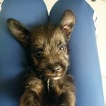@roger_negritoo - Instagram