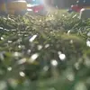 rogerneil - @rogerneil7 - TikTok