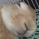 Rogerness - @rogerness123 - Instagram