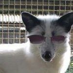 Roger Nicholas - @roger7082 - Instagram