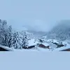 Nicolas Roger - @nicolas.roger79 - TikTok