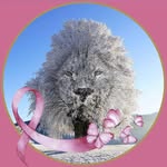 Roger Nordlund - @roger.nordlund.7 - Instagram