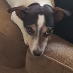 Roger Nyström - @rogernystrom64 - Instagram