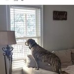 Roger Jamie Olander - @wife_mom_grammie1969 - Instagram
