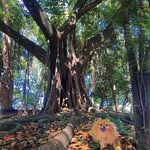 Roger Olson - @jetixo8759 - Instagram