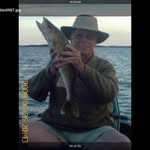 Roger Olson - @rogerolson272 - Instagram
