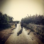 Roger O'Neill - @trickyselfquick - Instagram