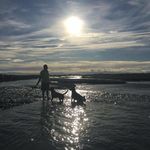 Roger O'Neill - @roger.oneill - Instagram