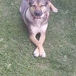 Roger Östlund - @4518tabbargmail.com_ - Instagram
