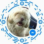 roger - @roger.oswaldo12345abcde - Instagram