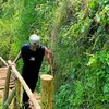 Roger Otis - @roger.otis13 - TikTok