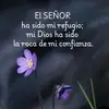 Roger Palma - @roger.palma2 - TikTok