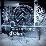 Roger Paradis - @paradisroger - Instagram