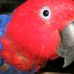 Roger Parrott - Facebook