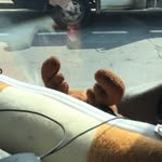 Roger Pascal🦌 - @roger.pascal.le.sang - Instagram