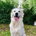 Roger Peanut Butter - @rogerpeanutbutter - Instagram