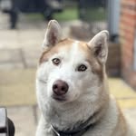 Roger Pearce - @roger.pearce.906 - Instagram