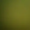yalil osorio - @rogerpea725 - TikTok
