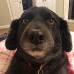 Roger Pearce - @rogerpearce8 - Instagram