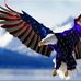 Roger Pell - Facebook
