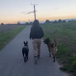 Roger Pellkofer - @rogerpellkofer - Instagram