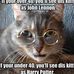 Roger Peloquin - Facebook