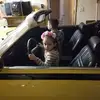 rogerpeloquin530 - @rogerpeloquin530 - TikTok