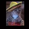 Roger Pena - @rogerpena7 - TikTok
